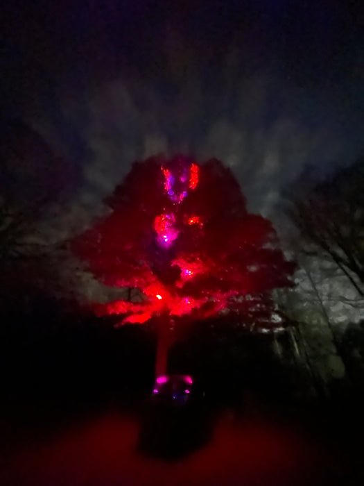 Marshin Whips: RGB Lunar Laser Light Kit