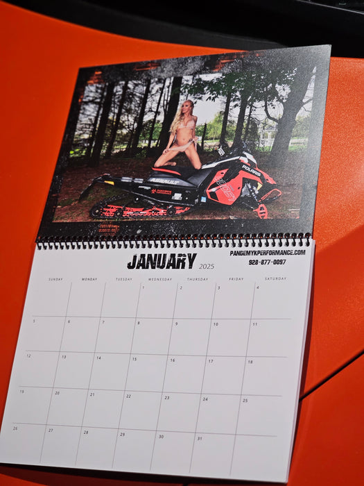 2025 Pandemyk Calendar