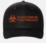Flex-Fit Pandemyk Logo Hat